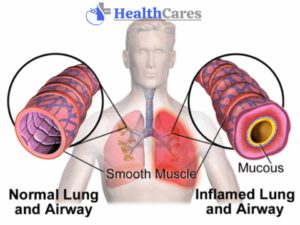 healthcares.me